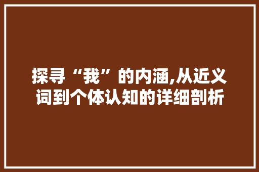 探寻“我”的内涵,从近义词到个体认知的详细剖析