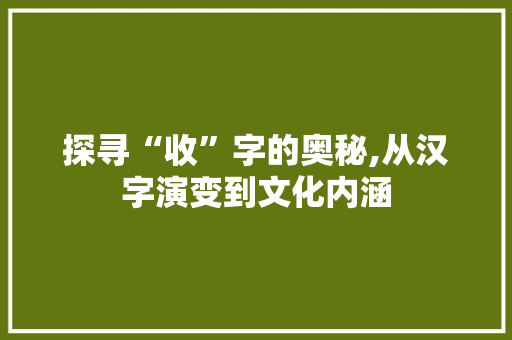 探寻“收”字的奥秘,从汉字演变到文化内涵
