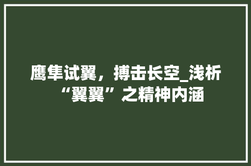 鹰隼试翼，搏击长空_浅析“翼翼”之精神内涵