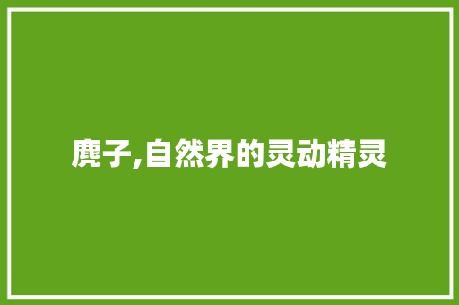 麂子,自然界的灵动精灵