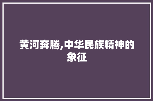 黄河奔腾,中华民族精神的象征