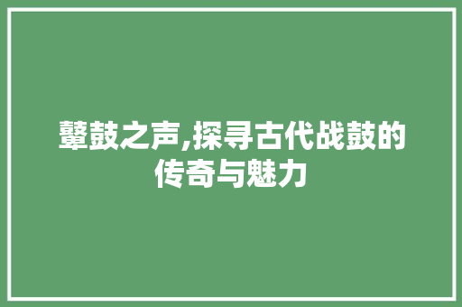 鼙鼓之声,探寻古代战鼓的传奇与魅力 会议纪要
