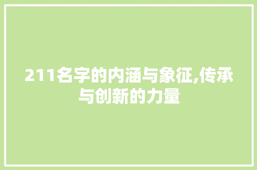 211名字的内涵与象征,传承与创新的力量