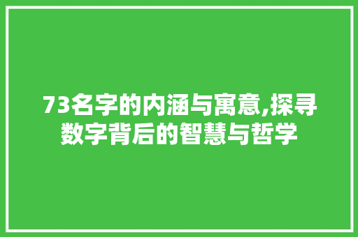 73名字的内涵与寓意,探寻数字背后的智慧与哲学
