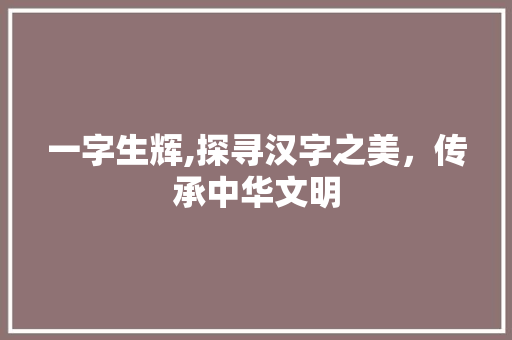 一字生辉,探寻汉字之美，传承中华文明