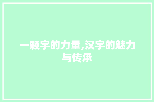 一颗字的力量,汉字的魅力与传承
