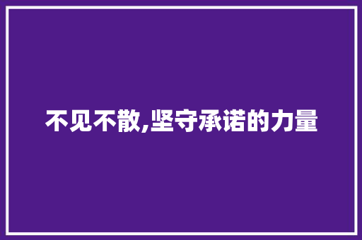 不见不散,坚守承诺的力量