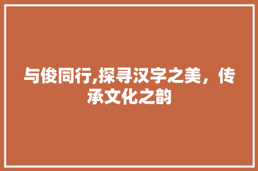 与俊同行,探寻汉字之美，传承文化之韵