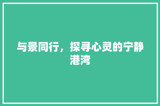 与景同行，探寻心灵的宁静港湾