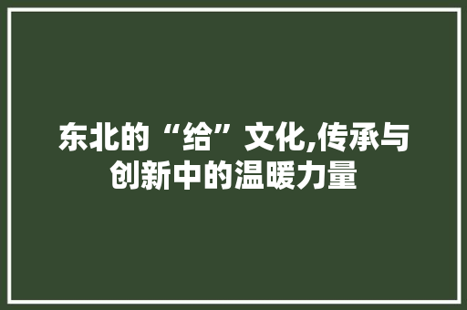东北的“给”文化,传承与创新中的温暖力量