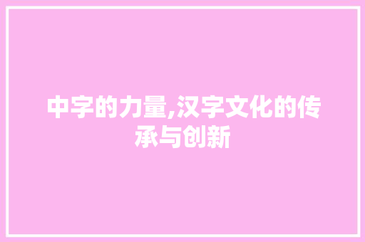 中字的力量,汉字文化的传承与创新