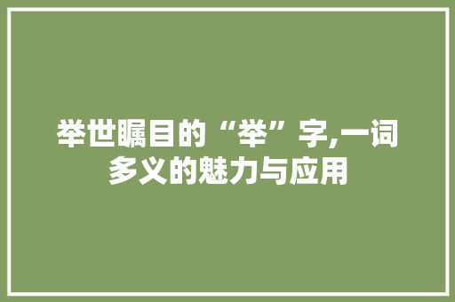举世瞩目的“举”字,一词多义的魅力与应用