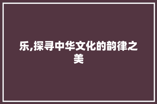 乐,探寻中华文化的韵律之美