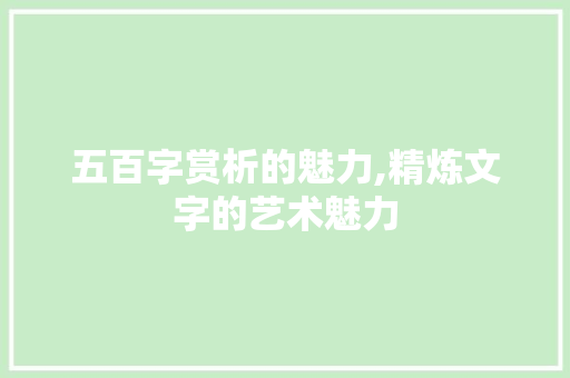 五百字赏析的魅力,精炼文字的艺术魅力