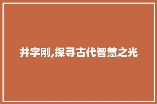 井字刚,探寻古代智慧之光