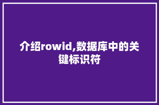 介绍rowid,数据库中的关键标识符