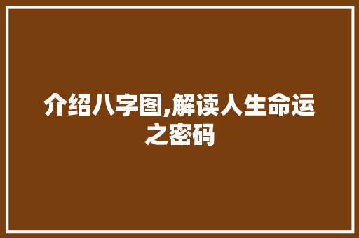 介绍八字图,解读人生命运之密码