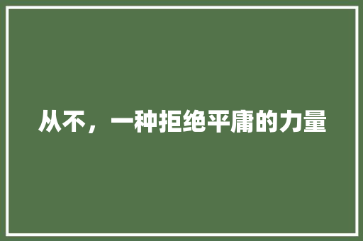 从不，一种拒绝平庸的力量
