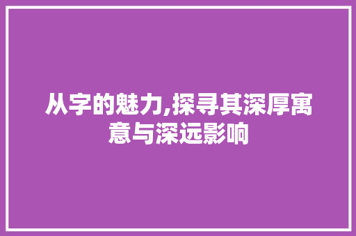 从字的魅力,探寻其深厚寓意与深远影响