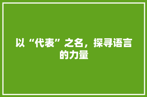 以“代表”之名，探寻语言的力量