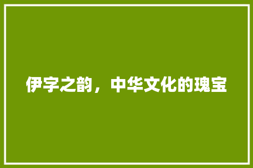 伊字之韵，中华文化的瑰宝