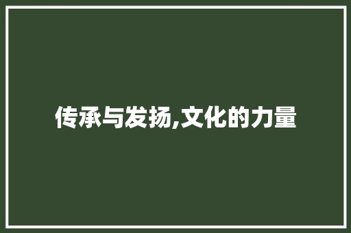 传承与发扬,文化的力量