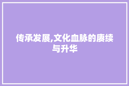 传承发展,文化血脉的赓续与升华