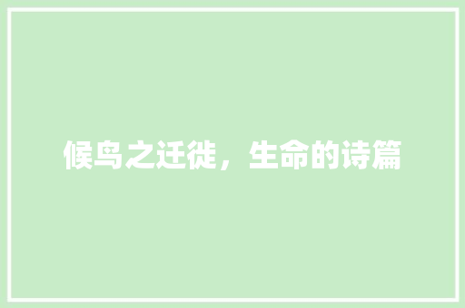 候鸟之迁徙，生命的诗篇 诗词体裁