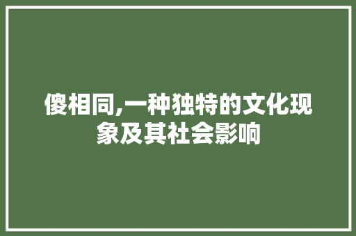 傻相同,一种独特的文化现象及其社会影响