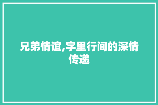 兄弟情谊,字里行间的深情传递