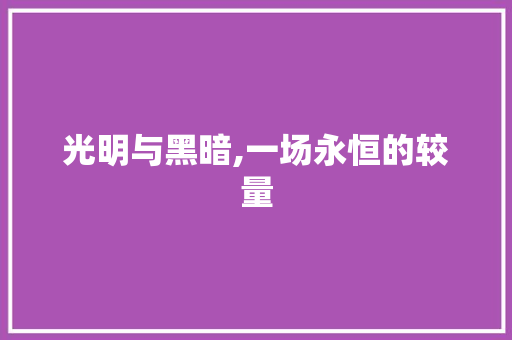 光明与黑暗,一场永恒的较量