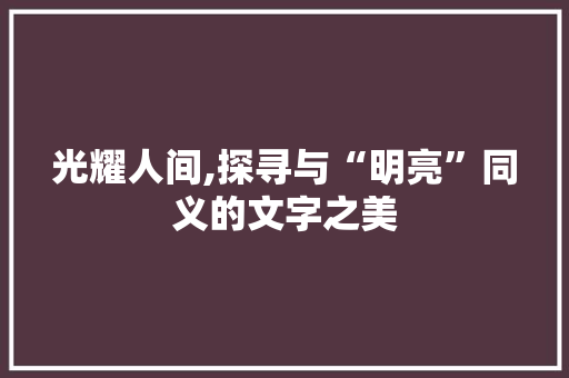 光耀人间,探寻与“明亮”同义的文字之美
