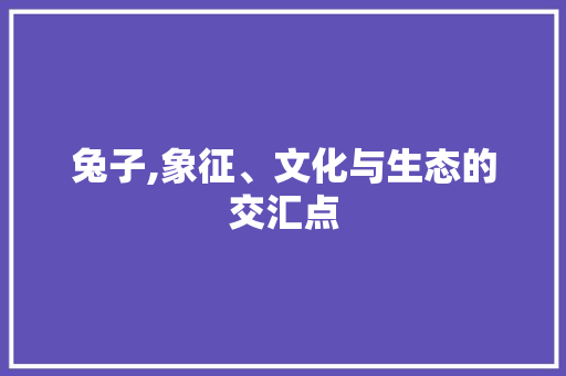 兔子,象征、文化与生态的交汇点