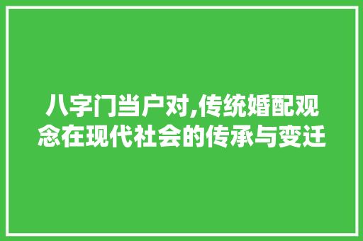 八字门当户对,传统婚配观念在现代社会的传承与变迁