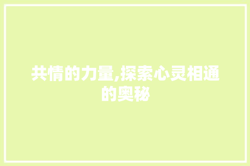 共情的力量,探索心灵相通的奥秘