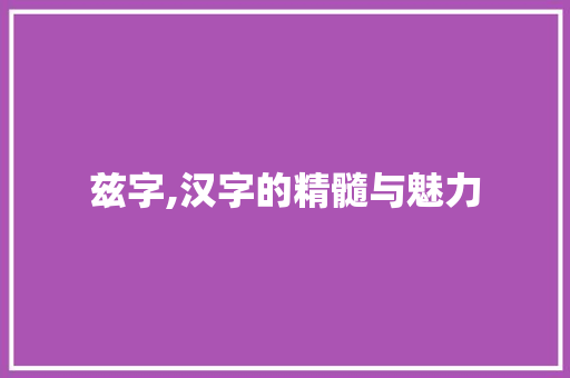 兹字,汉字的精髓与魅力