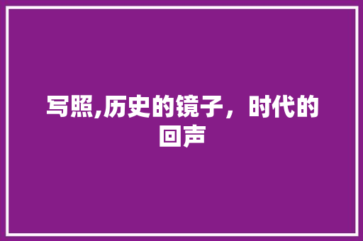 写照,历史的镜子，时代的回声