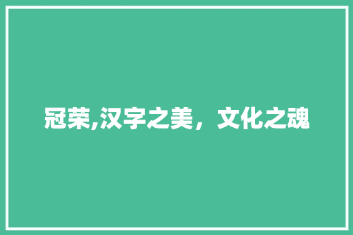 冠荣,汉字之美，文化之魂