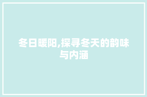 冬日暖阳,探寻冬天的韵味与内涵