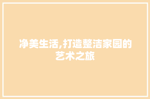 净美生活,打造整洁家园的艺术之旅