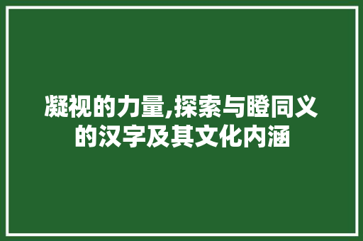 凝视的力量,探索与瞪同义的汉字及其文化内涵