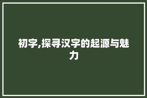 初字,探寻汉字的起源与魅力