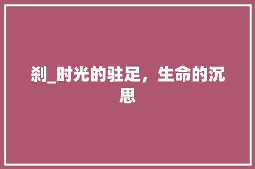 刹_时光的驻足，生命的沉思