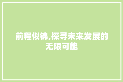 前程似锦,探寻未来发展的无限可能