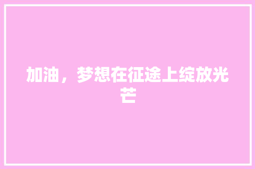 加油，梦想在征途上绽放光芒