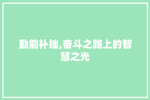 勤能补拙,奋斗之路上的智慧之光