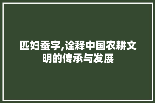 匹妇蚕字,诠释中国农耕文明的传承与发展 项目报告