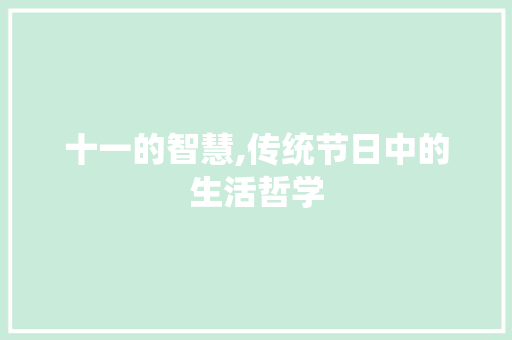 十一的智慧,传统节日中的生活哲学