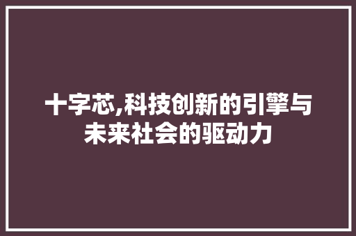 十字芯,科技创新的引擎与未来社会的驱动力