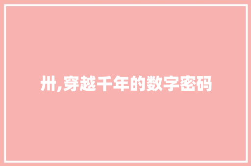 卅,穿越千年的数字密码